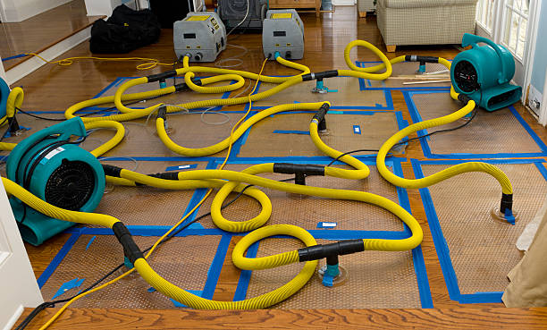 Professional Crawl Space Water Removal technician working in Farmersville, TX